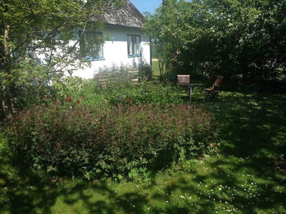 Raevakra B&B Hammenhog Экстерьер фото